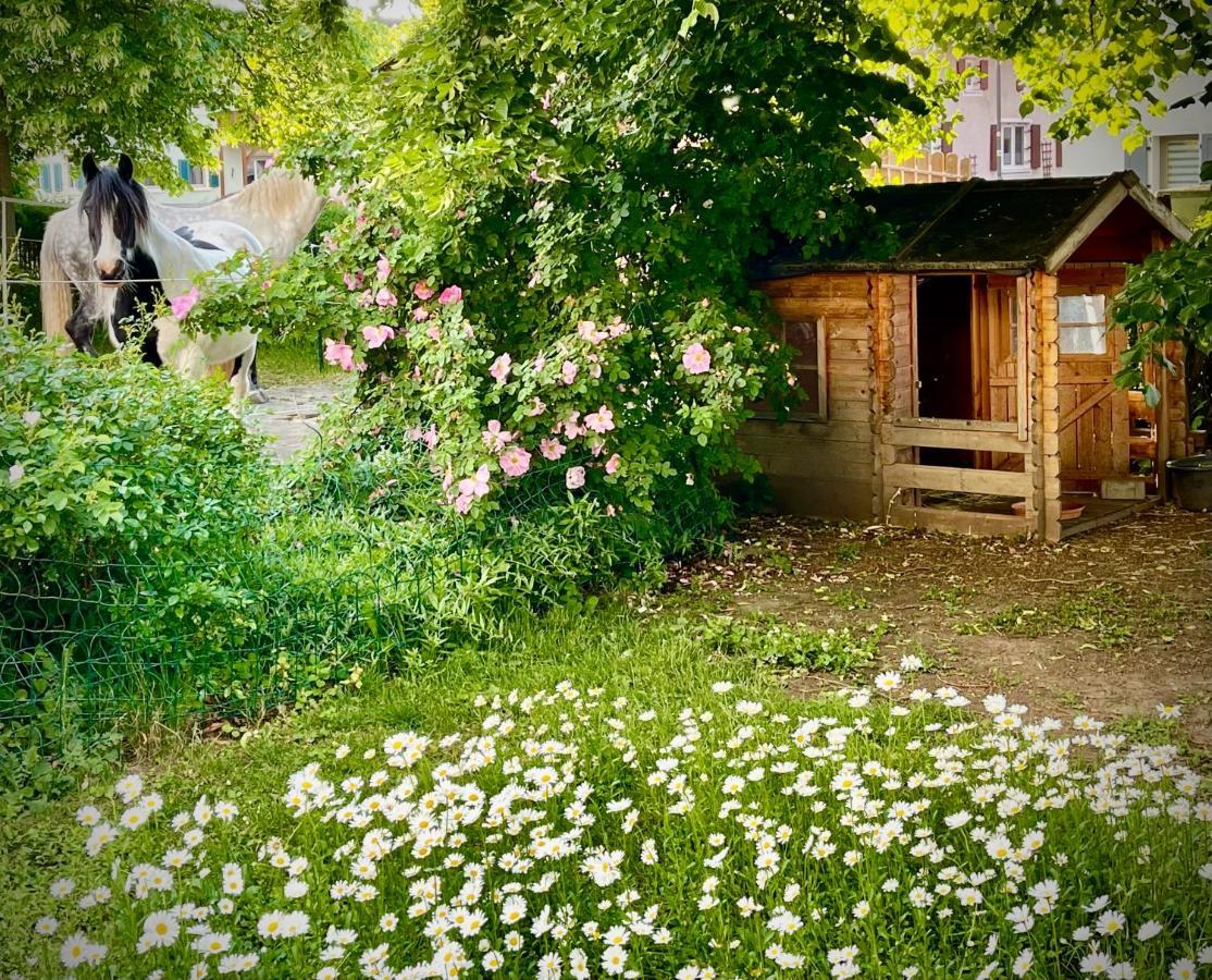 Apartamento Rohrachhof Treuchtlingen Exterior foto